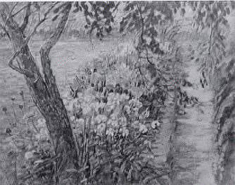 Path by a River