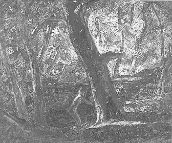Woodland Pool