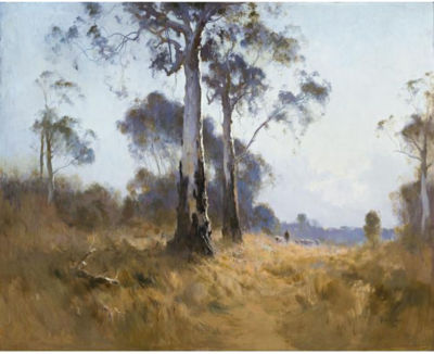 GHOST GUM AT KANGAROO FLAT