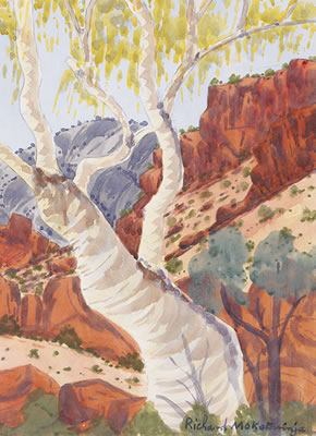 (ARANDA LANDSCAPE)