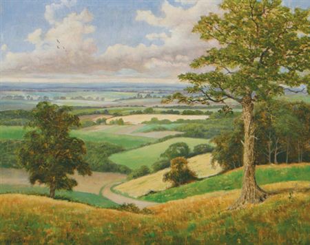 Panoramic landscape