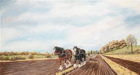Horses ploughing