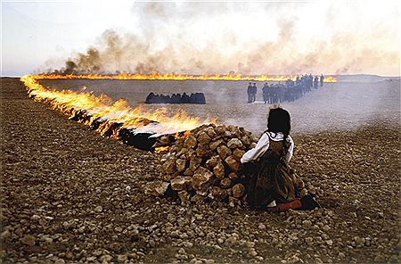Shirin Neshat - artist photo