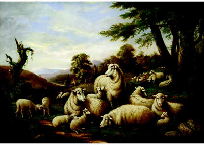 Sheep in rural landscape