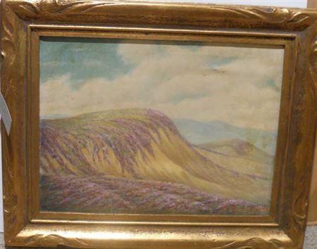 SAND DUNES OF ATASCADERO, CA, VERBENA IN BLOOM