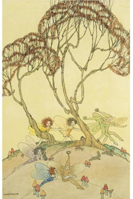 THE FAIRY TALE IN THE FOREST