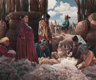 Shearing the Churro Sheep
