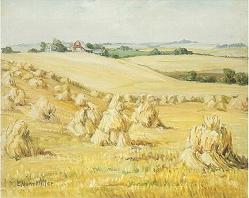 Harvest Time in Kansas