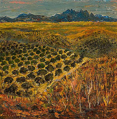Taos Valley