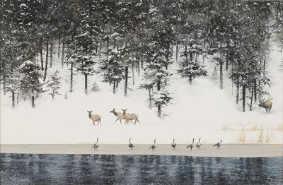 Elk on the Yellowstone by Morten Solberg - Auction record, sale price, and art valuation. Compare with similar artists and explore comparable artworks.