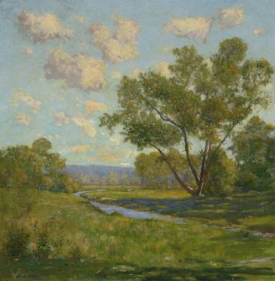 Brook in a Summer