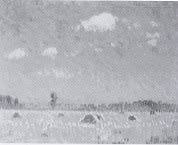Noon by Leon Makielski - Auction record, sale price, and art valuation. Compare with similar artists and explore comparable artworks.