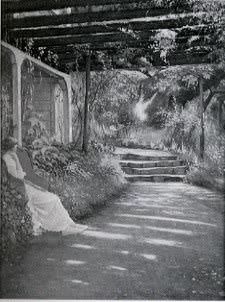 In the Shade