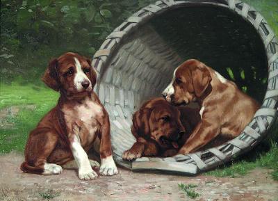 A Basket of Puppies
