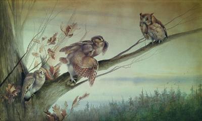 A Family of Owls by Bruno Ertz - Auction record, sale price, and art valuation. Compare with similar artists and explore comparable artworks.