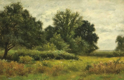 Summer Meadow