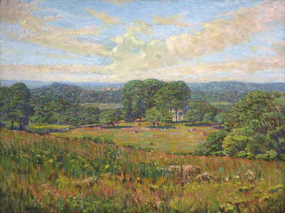 Summer Meadows