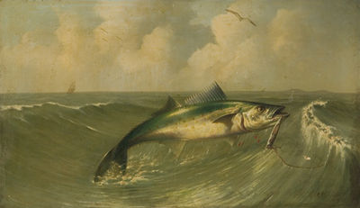 Fish on the Line