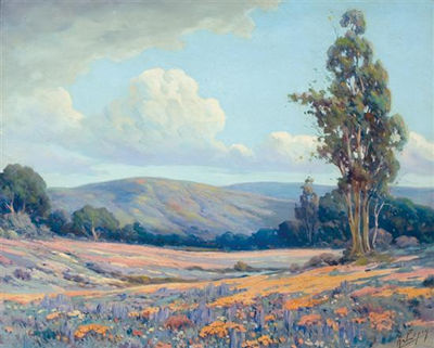 California Lupines & Poppies