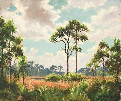 Afternoon Clouds, Florida