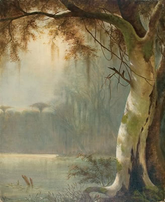 On the Banks of a Louisiana Bayou