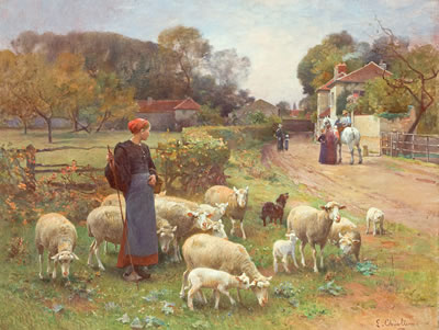 Tending the Flock
