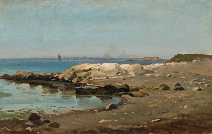 Along a Rocky Coast