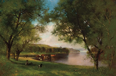 Resting Along the Side of the River
