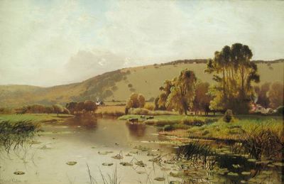 Cattle Watering in a Lily Pond