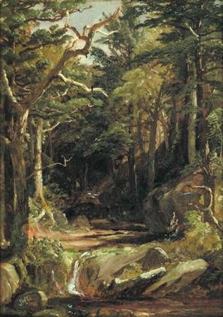 Woodland Brook