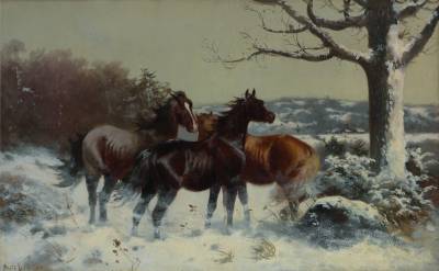 Horses in Winter