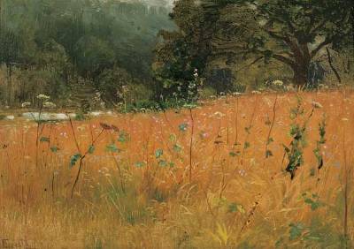 A Field of Wildflowers