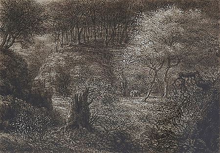Clearing in a Wood