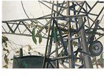 HIGH VOLTAGE RACK ENTWINED WITH TENDRILS