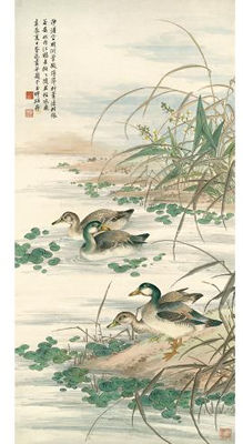WILD DUCKS
