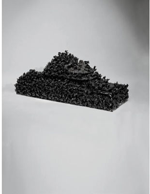 PLAN OF THE ANTS - BLACK