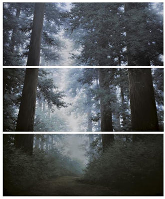 CONDITION-LIGHT (TRIPTYCH)