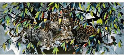 LEOPARDS