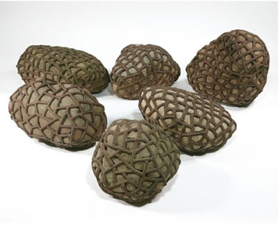 EARTHLY FORCE (6 PIECES)