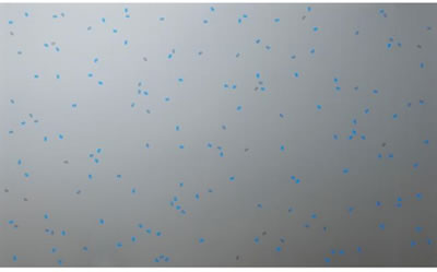 CHANGING TIME WITH CHANGING SELF - BLUE WIND