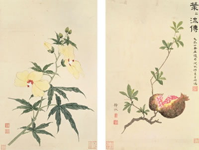 FLOWERS AND POMEGRANATE