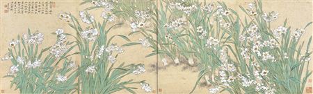 NARCISSUS (2)