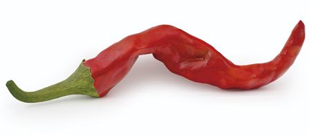 BIG RED CHILI by Ming G Fay - Auction record, sale price, and art valuation. Compare with similar artists and explore comparable artworks.