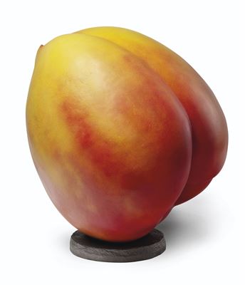 NECTARINE by Ming G Fay - Auction record, sale price, and art valuation. Compare with similar artists and explore comparable artworks.