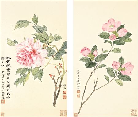 PEONIES; CAMILLIA (2)