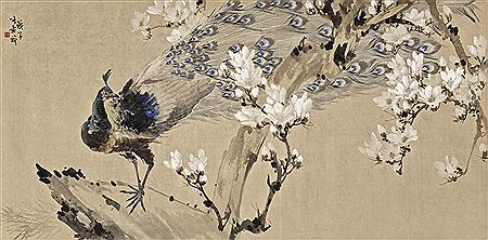 MAGNOLIA AND PEACOCK