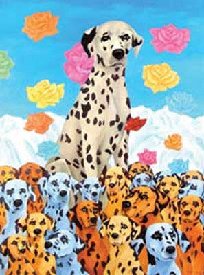 Dalmation