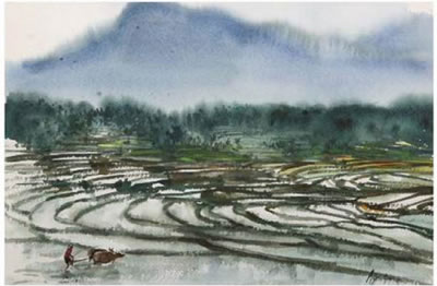 Pemandangan Sawah