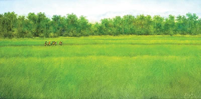 Harvest