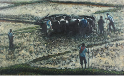 Membajak Sawah